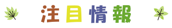 注目情報